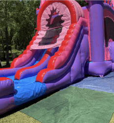 (DRY) Pink & Purple Double Lane Combo