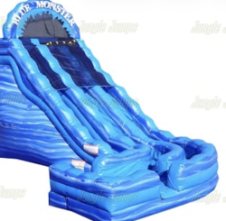 (WATERSLIDE) Blue Monster Double Lane Curvy Slide